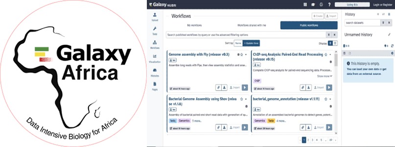 Galaxy NUBRI: Democratizing Bioinformatics in Sudan