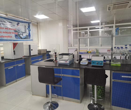 Molecular Biology Image 2